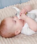 Jucarie dexteritate - Magarus somnoros