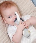 Jucarie dexteritate - Magarus somnoros