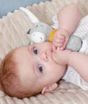 Jucarie dexteritate - Magarus somnoros