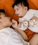 Zornaitoare - Ursulet somnoros