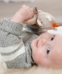 Zornaitoare - Ursulet somnoros